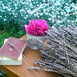 Semesterbostad Casa Sull'albero Aromantica *