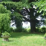 Casa Sull'albero Aromantica *