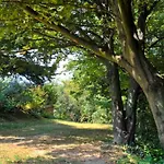 Casa Sull'albero Aromantica Semesterbostad *
