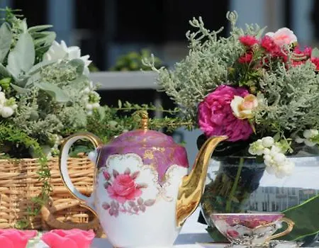 Casa de Férias Casa Sull'albero Aromantica