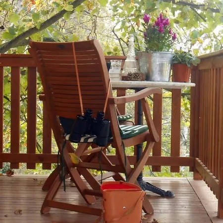 Casa Sull'albero Aromantica San Salvatore Monferrato