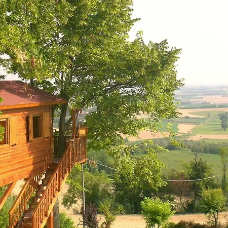 Casa de Férias Casa Sull'albero Aromantica