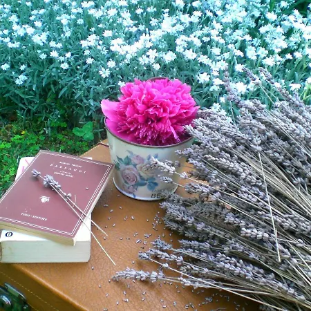 Casa de Férias Casa Sull'albero Aromantica *