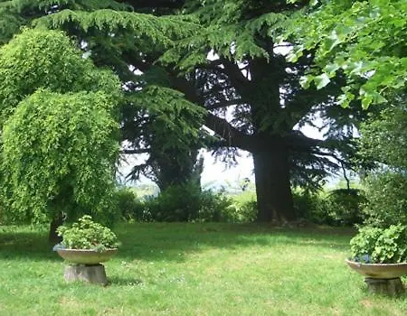 Casa Sull'albero Aromantica *