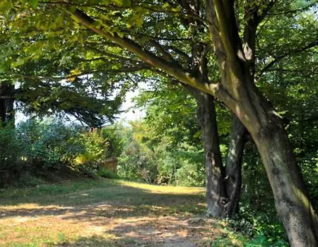 Casa Sull'albero Aromantica Hébergement de vacances *