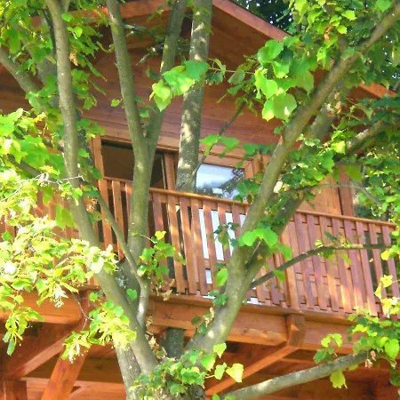 Casa de Férias Casa Sull'albero Aromantica