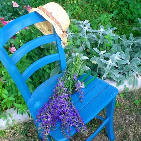 Casa Sull'albero Aromantica Hébergement de vacances San Salvatore Monferrato