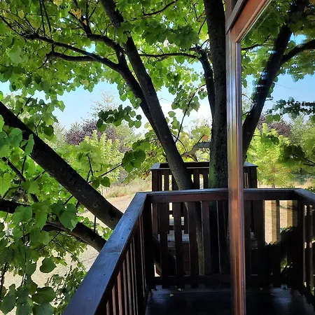 Casa Sull'albero Aromantica San Salvatore Monferrato