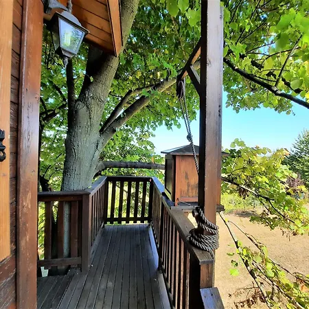 Casa Sull'albero Aromantica Casa vacanze
